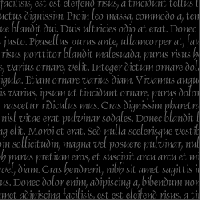 Vivamus et magna turpis